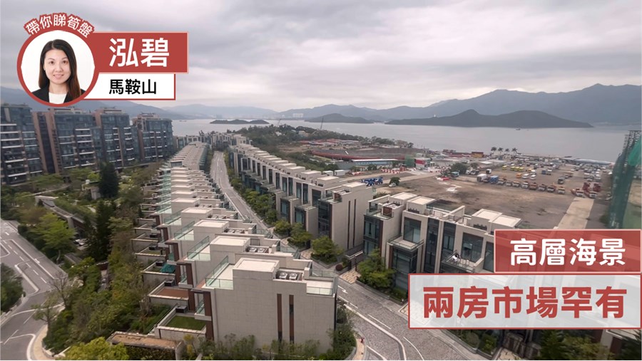 泓碧 5座, 视频