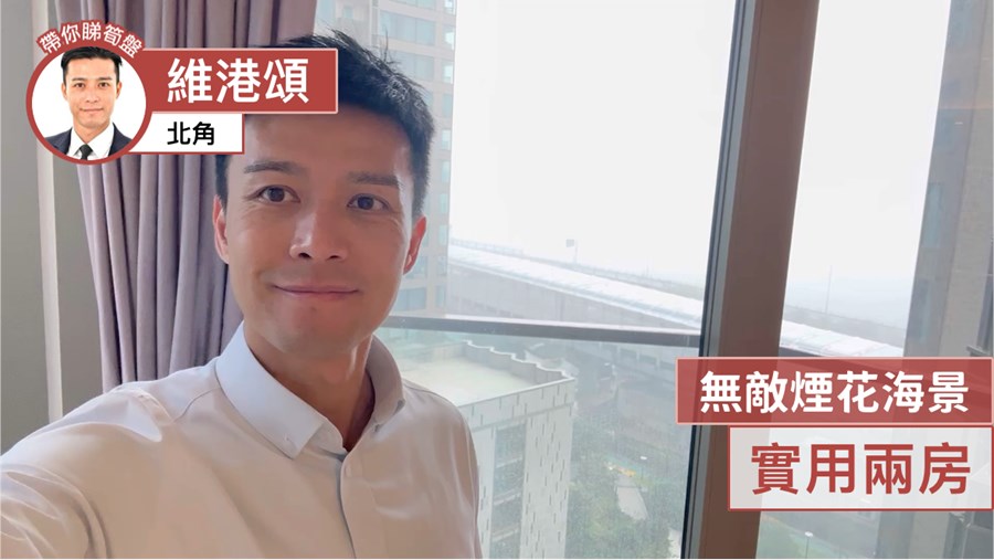維港頌 6座 2房 12樓 D室, 視頻