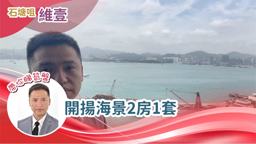 维壹