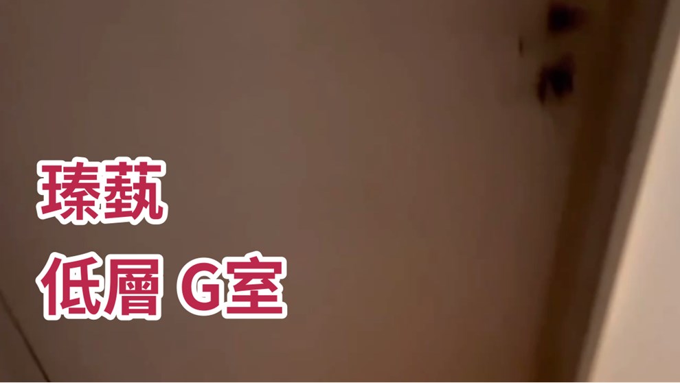 瑧蓺
