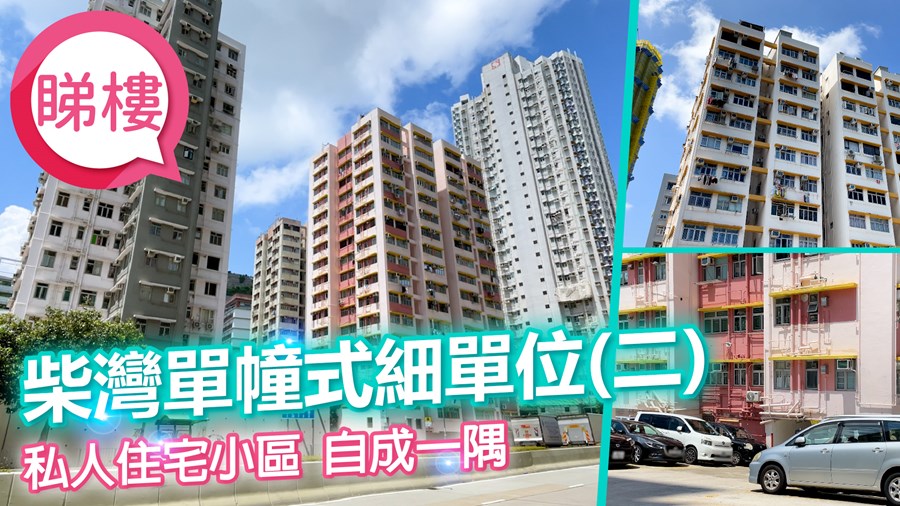 雅丽阁, 视频