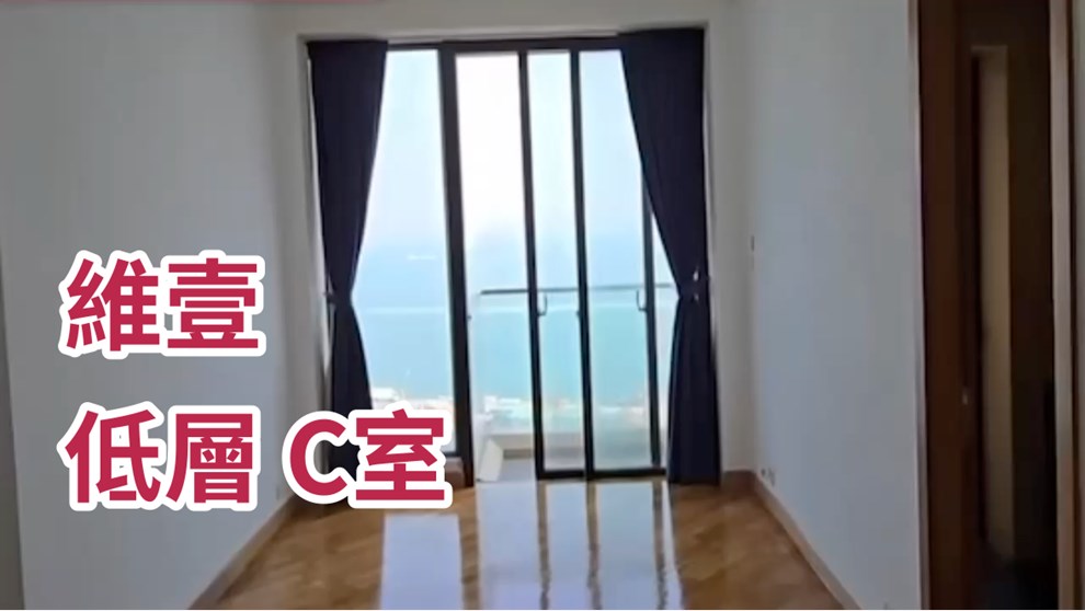 维壹