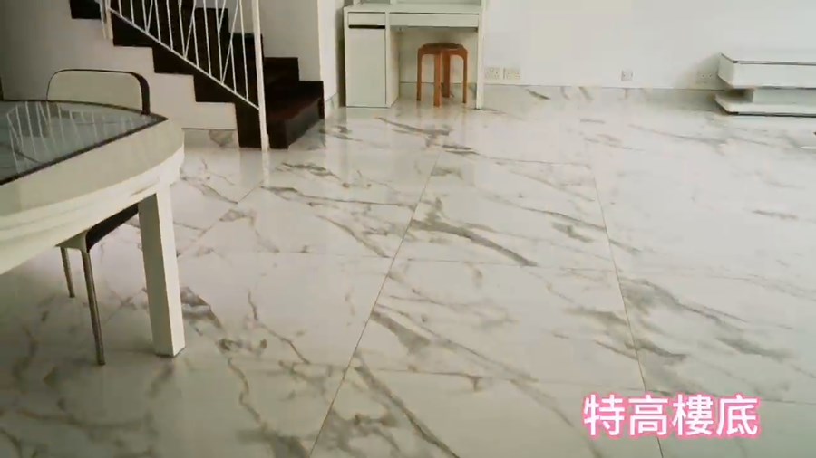 迈尔豪园, 视频