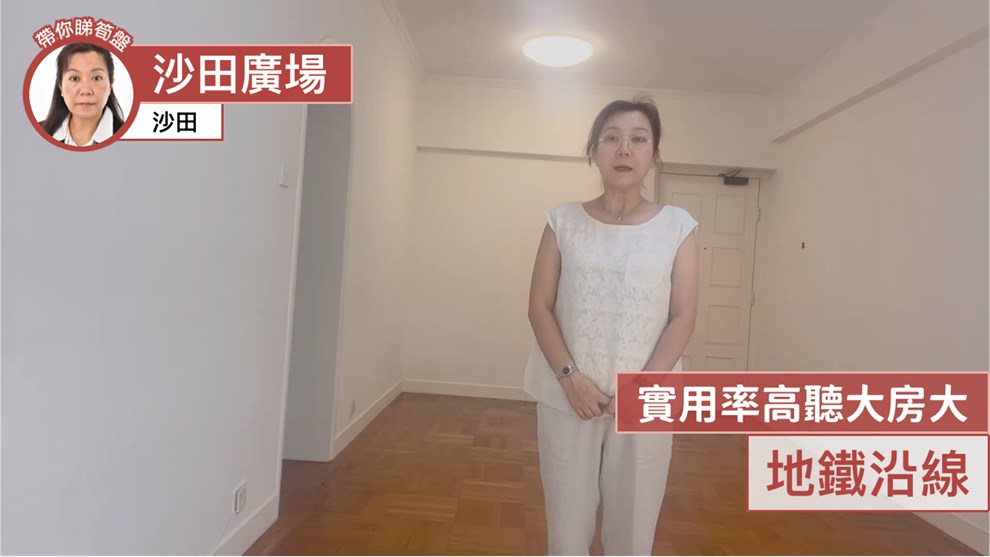 沙田广场 华星阁 (C座)