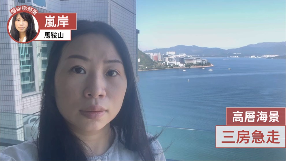 嵐岸 2座
