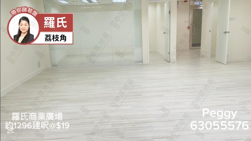 羅氏商業廣場｜工商樓盤｜中原工商舖